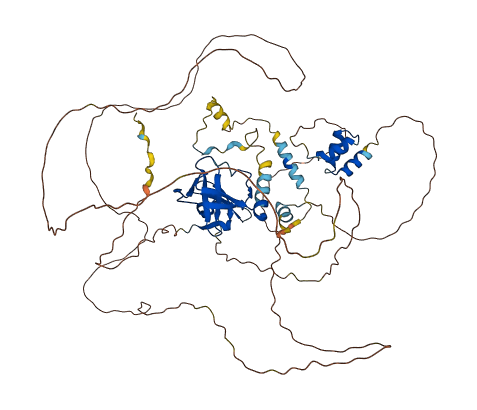 TDRD3 3D structure
