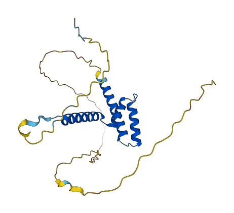 C8orf33 3D structure