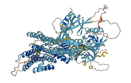 ATP13A3 3D structure