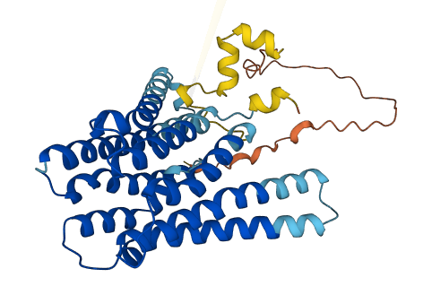 TMEM185B 3D structure