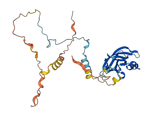 PPP1R3E 3D structure
