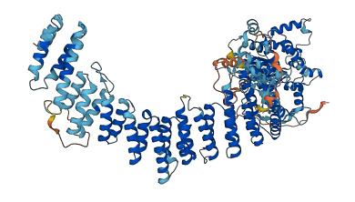 ZSWIM4 3D structure