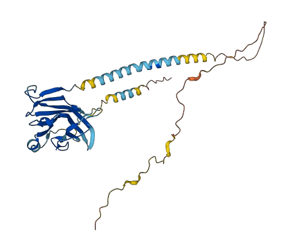 VSIR 3D structure