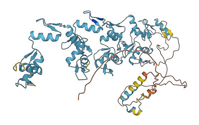 ZNF442 3D structure
