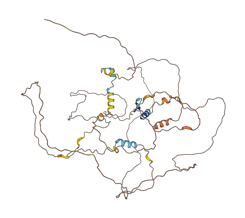 ZNF703 3D structure