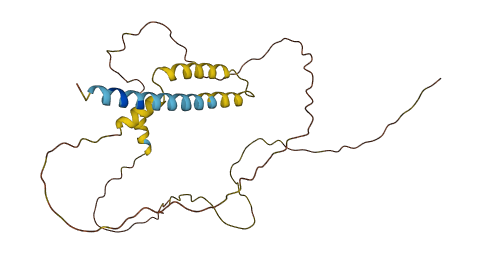 SYNDIG1 3D structure
