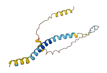 C1orf115 3D structure