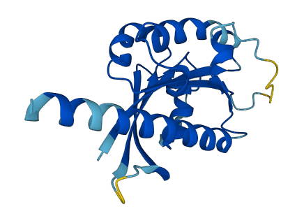IFT22 3D structure