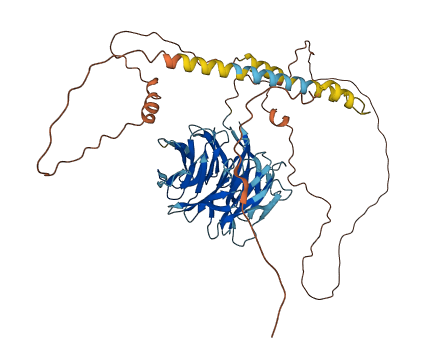 TLE6 3D structure