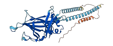PACC1 3D structure