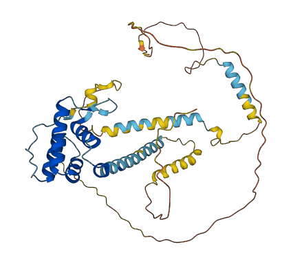 PHAX 3D structure
