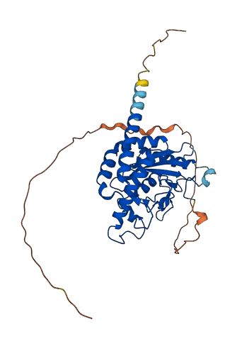 UBE2Z 3D structure