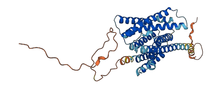 NIPAL2 3D structure
