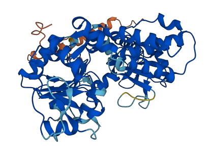 NT5DC2 3D structure