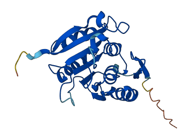 VCPKMT 3D structure