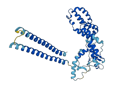 RMND5A 3D structure