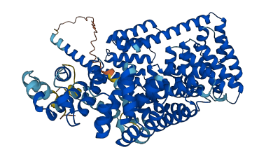 TTC12 3D structure