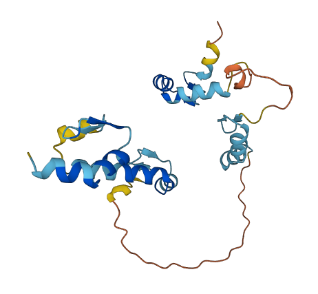 ZMAT4 3D structure