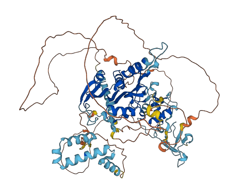 KAT14 3D structure