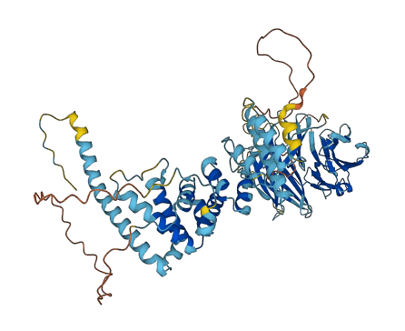 NOL11 3D structure