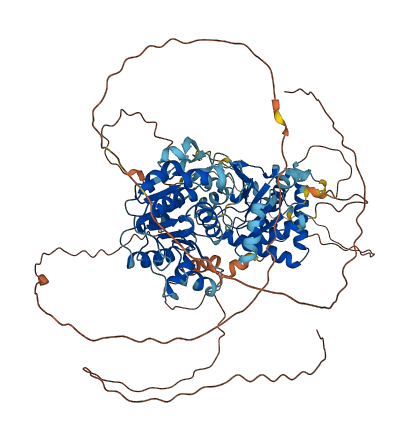 DDX31 3D structure
