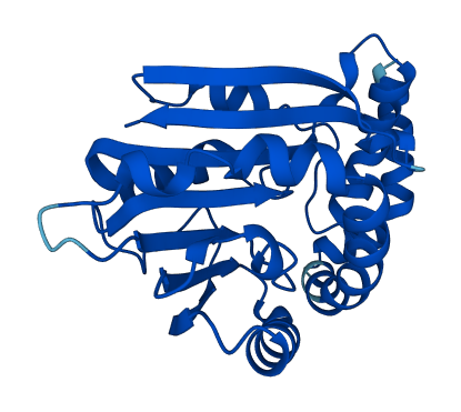 METTL7A 3D structure