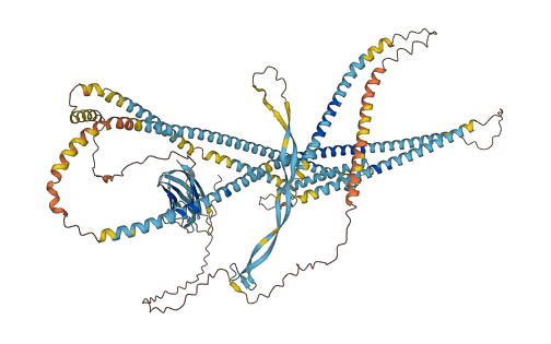 MMRN2 3D structure