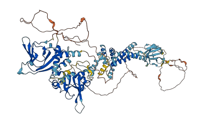 CNNM2 3D structure