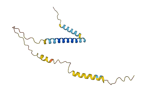 EVA1A 3D structure