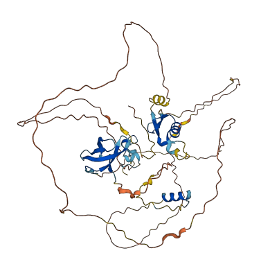 ZNF395 3D structure