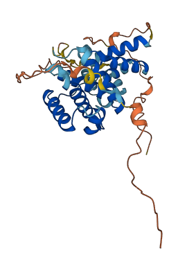 CNTD2 3D structure