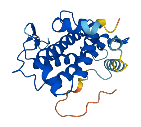 MOB1A 3D structure