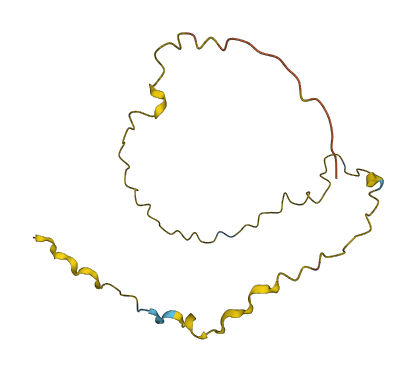 LINC00472 3D structure