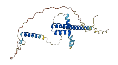 FAM204A 3D structure