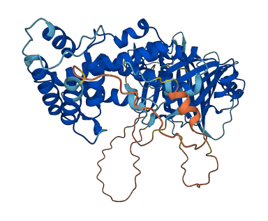 ZWILCH 3D structure