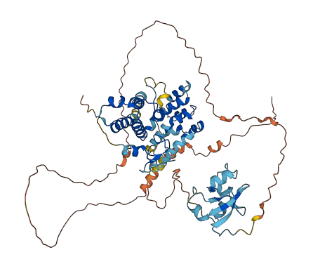 SP140L 3D structure