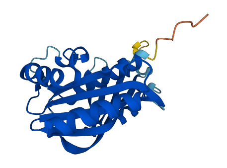 MED20 3D structure
