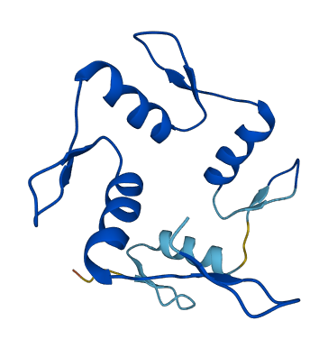 ZNF702P 3D structure