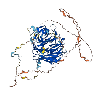WDR76 3D structure