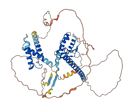 C14orf93 3D structure
