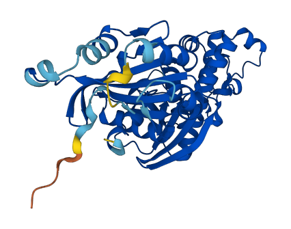 PANK3 3D structure
