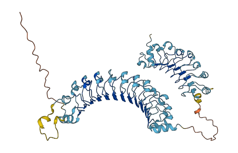 LRRC40 3D structure