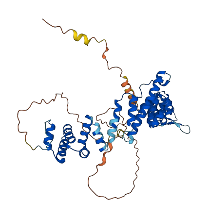 VIPAS39 3D structure