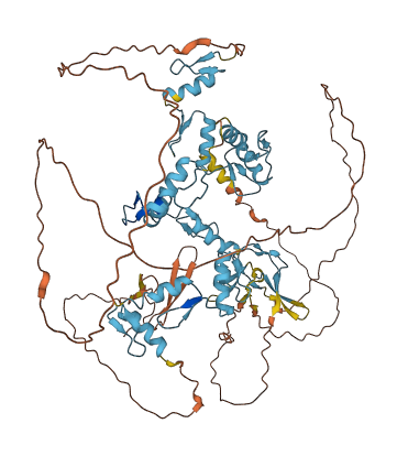 ZNF408 3D structure