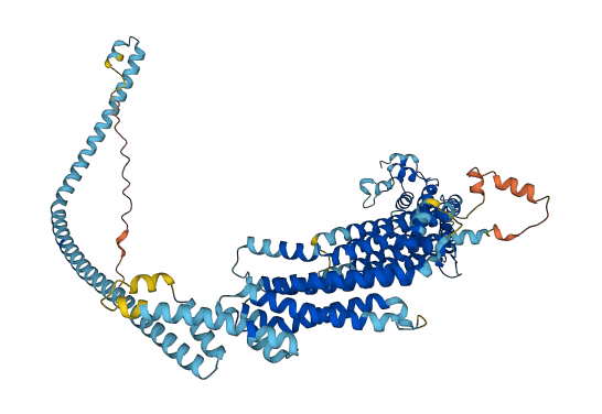 COG4 3D structure