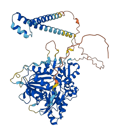 ACTR5 3D structure