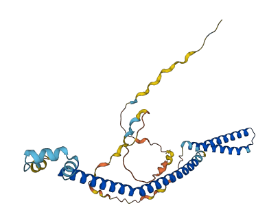 VPS37B 3D structure