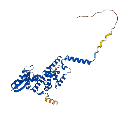 MRPL44 3D structure