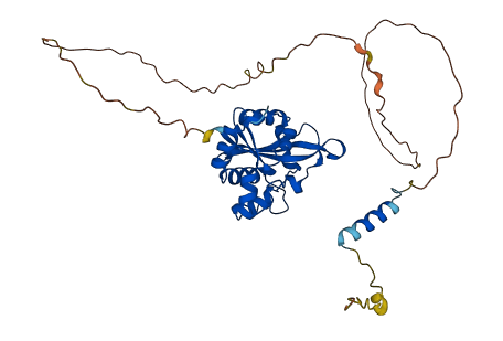 ISG20L2 3D structure