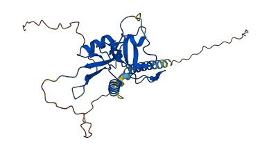 CHODL 3D structure